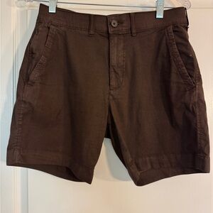 Abercrombie & Fitch Dark Brown Shorts